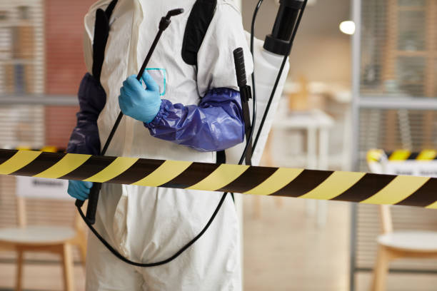Professional Biohazard technician working in Blue Jay, CA